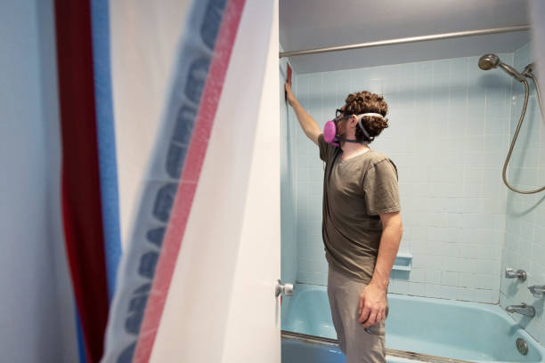 Best Basement Mold Removal  in Springfield, GA
