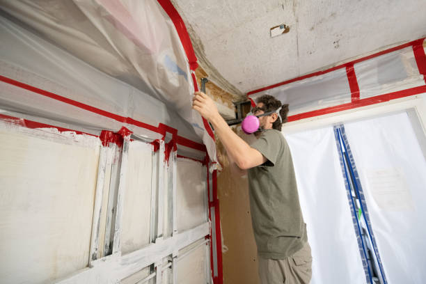 Best Air Quality Testing for Mold Spores  in Springfield, GA