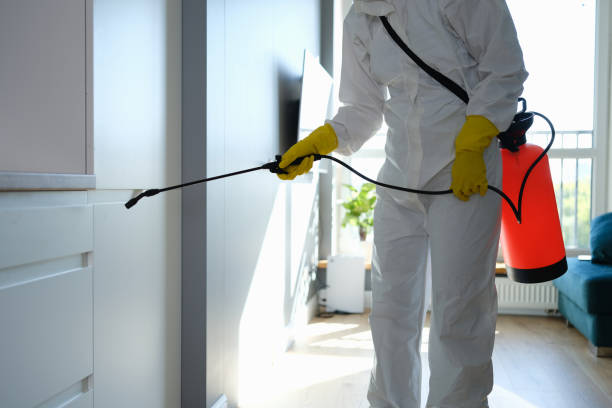 Best Indoor Air Quality Assessment  in Springfield, GA