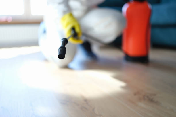 Best Mold Prevention Services  in Springfield, GA