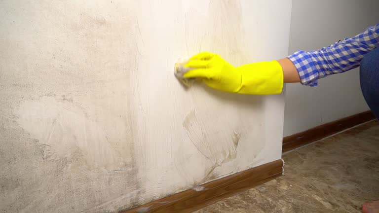 Best Mold-Related Health Consultation  in Springfield, GA