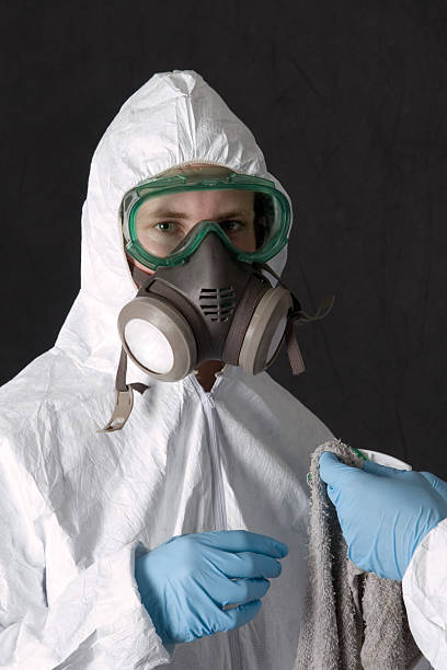  Springfield, GA Mold Removal Pros